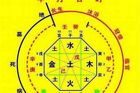 八字陰陽比例|生辰八字算命、五行喜用神查询（免费测算）